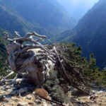 View of the Samaria gorge from the path to Gigilos