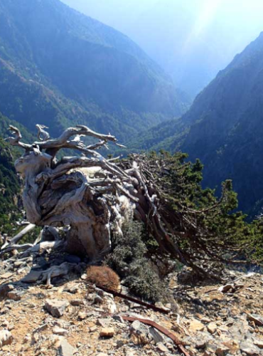 View of the Samaria gorge from the path to Gigilos